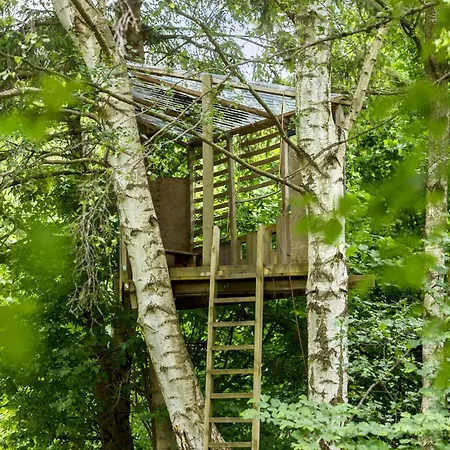 Amazing In With Wifi