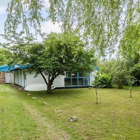 Amazing In With Wifi *